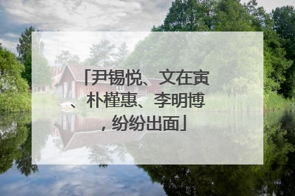 尹锡悦、文在寅、朴槿惠、李明博，纷纷出面