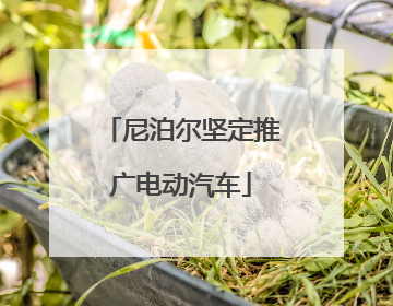 尼泊尔坚定推广电动汽车