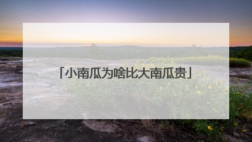 小南瓜为啥比大南瓜贵