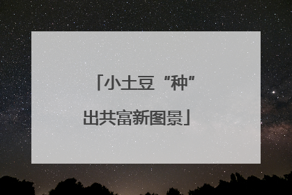 小土豆“种”出共富新图景