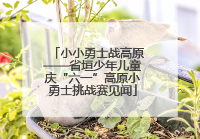 小小勇士战高原——省垣少年儿童庆“六一”高原小勇士挑战赛见闻