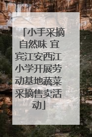 小手采摘自然味 宜宾江安西江小学开展劳动基地蔬菜采摘售卖活动