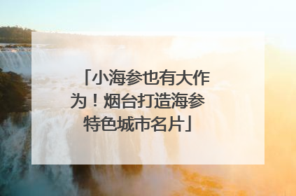小海参也有大作为！烟台打造海参特色城市名片