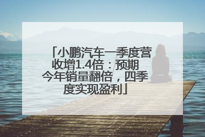 小鹏汽车一季度营收增1.4倍：预期今年销量翻倍，四季度实现盈利