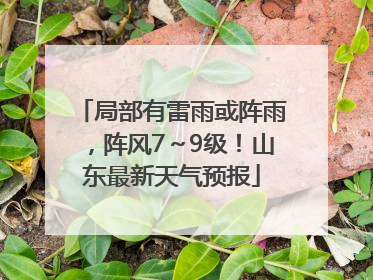 局部有雷雨或阵雨，阵风7～9级！山东最新天气预报