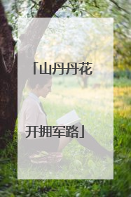 山丹丹花开拥军路
