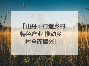 山丹：打造乡村特色产业 推动乡村全面振兴