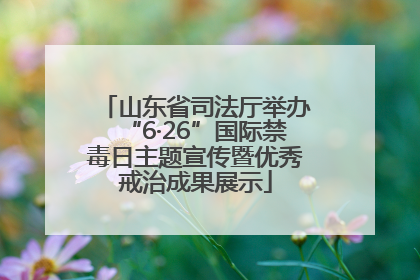 山东省司法厅举办“6·26”国际禁毒日主题宣传暨优秀戒治成果展示
