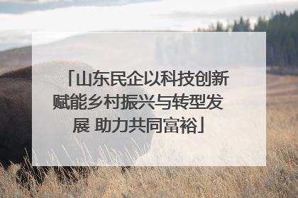 山东民企以科技创新赋能乡村振兴与转型发展 助力共同富裕