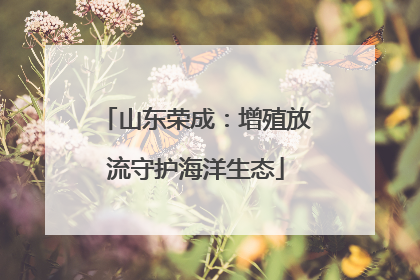山东荣成：增殖放流守护海洋生态