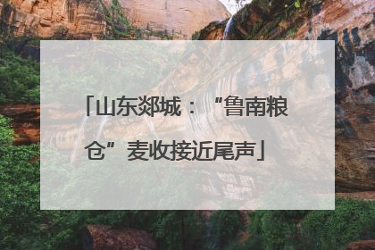 山东郯城：“鲁南粮仓”麦收接近尾声