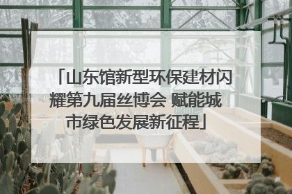 山东馆新型环保建材闪耀第九届丝博会 赋能城市绿色发展新征程