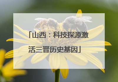 山西：科技探源激活三晋历史基因
