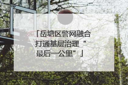 岳塘区警网融合 打通基层治理“最后一公里”