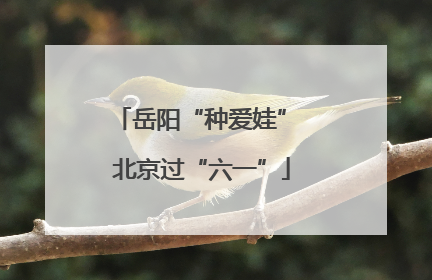 岳阳“种爱娃” 北京过“六一”