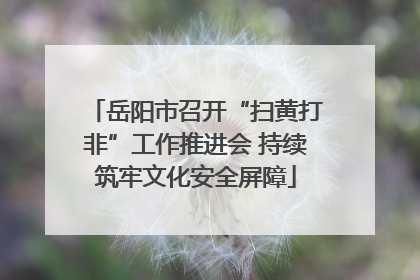 岳阳市召开“扫黄打非”工作推进会 持续筑牢文化安全屏障