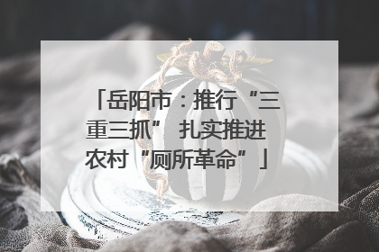 岳阳市：推行“三重三抓” 扎实推进农村“厕所革命”