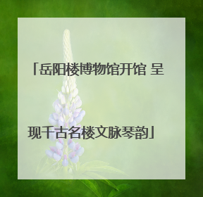 岳阳楼博物馆开馆 呈现千古名楼文脉琴韵