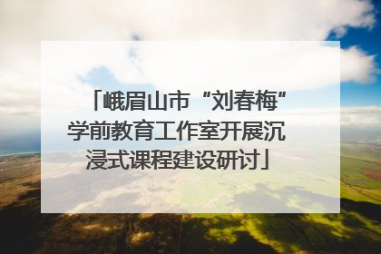 峨眉山市“刘春梅”学前教育工作室开展沉浸式课程建设研讨