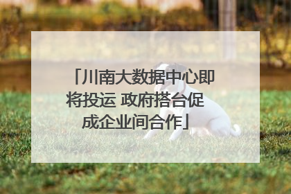 川南大数据中心即将投运 政府搭台促成企业间合作