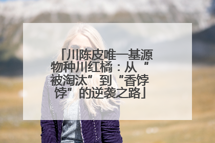 川陈皮唯一基源物种川红橘：从“被淘汰”到“香饽饽”的逆袭之路