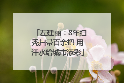 左建丽：8年扫秃扫帚百余把 用汗水给城市添彩