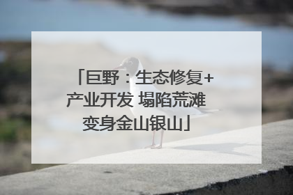 巨野：生态修复+产业开发 塌陷荒滩变身金山银山