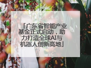 广东省智能产业基金正式启动，助力打造全球AI与机器人创新高地