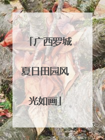 广西罗城夏日田园风光如画