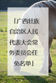 广西壮族自治区人民代表大会常务委员会任免名单