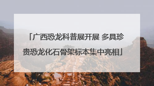 广西恐龙科普展开展 多具珍贵恐龙化石骨架标本集中亮相