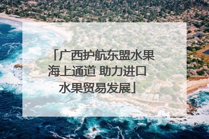 广西护航东盟水果海上通道 助力进口水果贸易发展