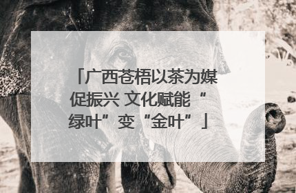 广西苍梧以茶为媒促振兴 文化赋能“绿叶”变“金叶”