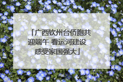 广西钦州台侨胞共迎端午 看运河建设感受家国强大