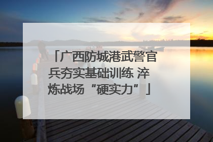 广西防城港武警官兵夯实基础训练 淬炼战场“硬实力”
