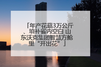 年产花菇3万公斤、填补省内空白 山东沃克集团智慧方舱里“开出花”