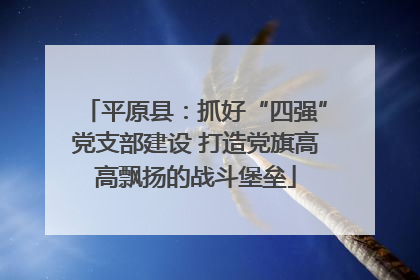 平原县：抓好“四强”党支部建设 打造党旗高高飘扬的战斗堡垒