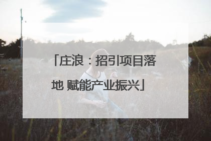 庄浪：招引项目落地 赋能产业振兴
