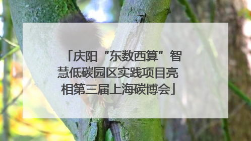 庆阳“东数西算”智慧低碳园区实践项目亮相第三届上海碳博会