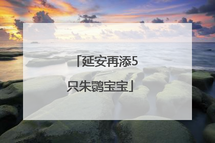 延安再添5只朱鹮宝宝