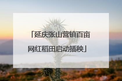 延庆张山营镇百亩网红稻田启动插秧