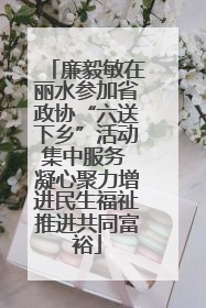 廉毅敏在丽水参加省政协“六送下乡”活动集中服务 凝心聚力增进民生福祉推进共同富裕