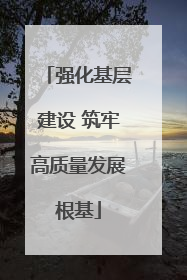 强化基层建设 筑牢高质量发展根基