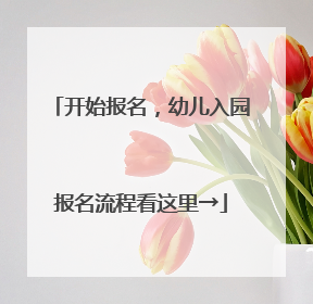 开始报名，幼儿入园报名流程看这里→