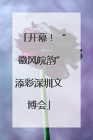 开幕！“徽风皖韵”添彩深圳文博会
