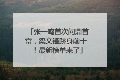 张一鸣首次问鼎首富，梁文锋跻身前十！最新榜单来了
