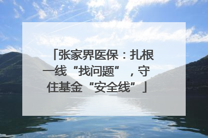 张家界医保：扎根一线“找问题”，守住基金“安全线”