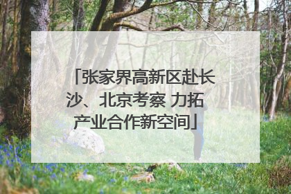 张家界高新区赴长沙、北京考察 力拓产业合作新空间