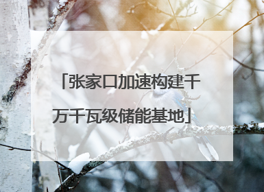 张家口加速构建千万千瓦级储能基地
