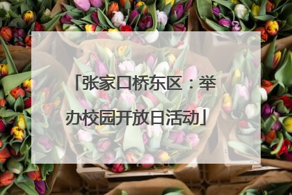 张家口桥东区：举办校园开放日活动